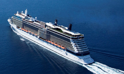 Celebrity Silhouette